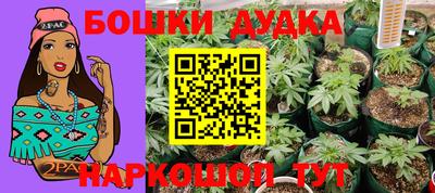 ALPHA PVP Беслан