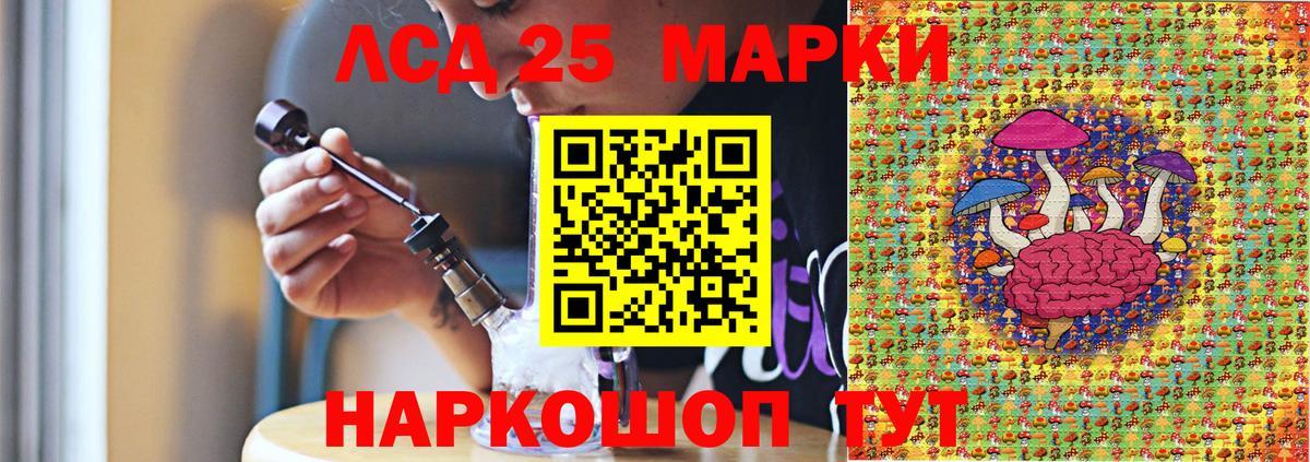 Псилоцибиновые грибы Ижевск