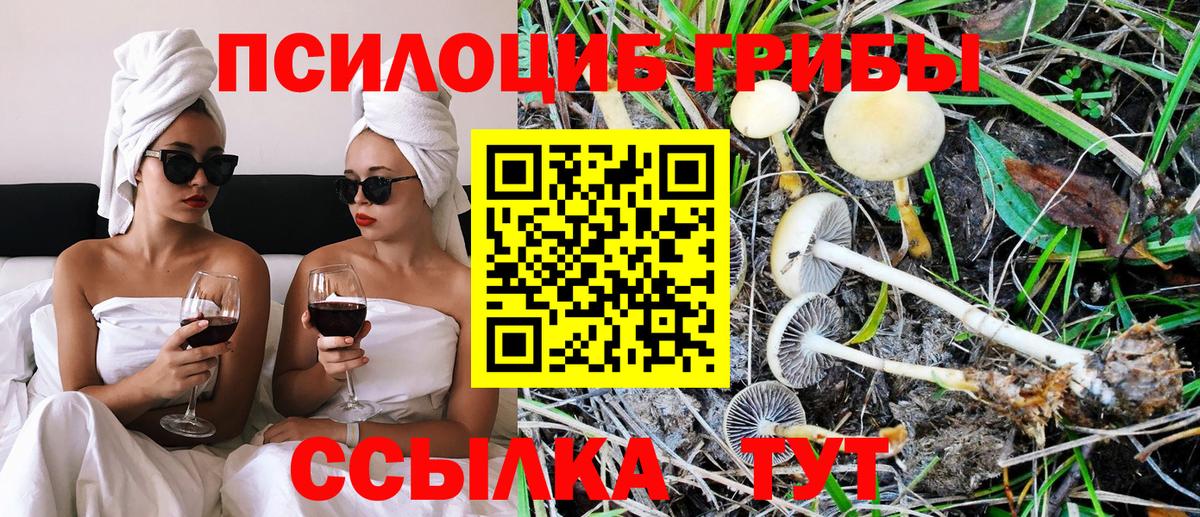 Галлюциногенные грибы GOLDEN TEACHER Ижевск